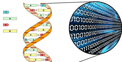 ADN: la computadora de mañana | Desde el valle cubiteño